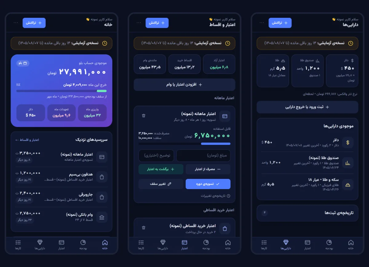 Dashboard, credit and instalments, and assets (demo account sample data)